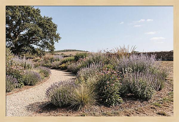Winding Garden Path Through Mixed Border