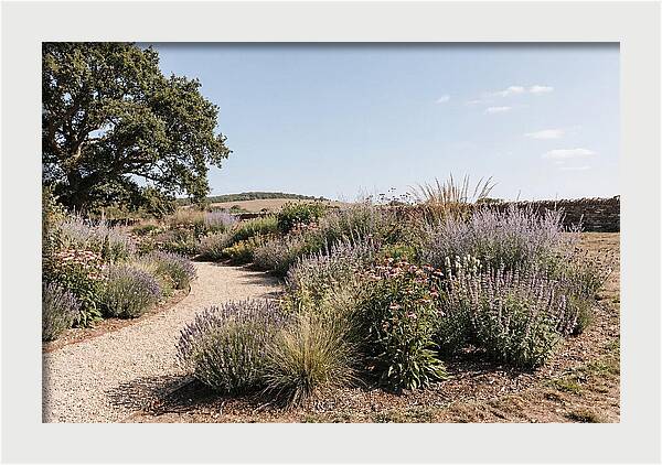Winding Garden Path Through Mixed Border
