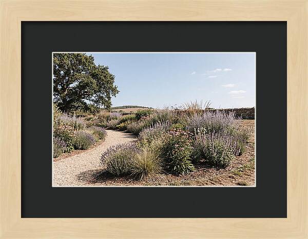 Winding Garden Path Through Mixed Border