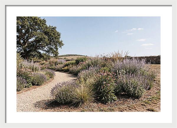 Winding Garden Path Through Mixed Border