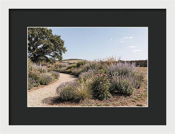 Winding Garden Path Through Mixed Border