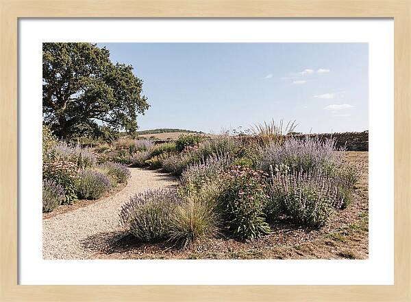 Winding Garden Path Through Mixed Border
