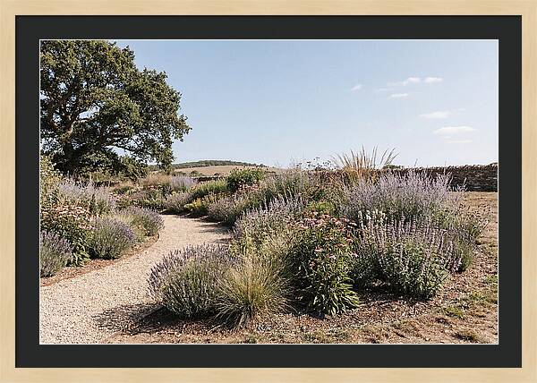Winding Garden Path Through Mixed Border