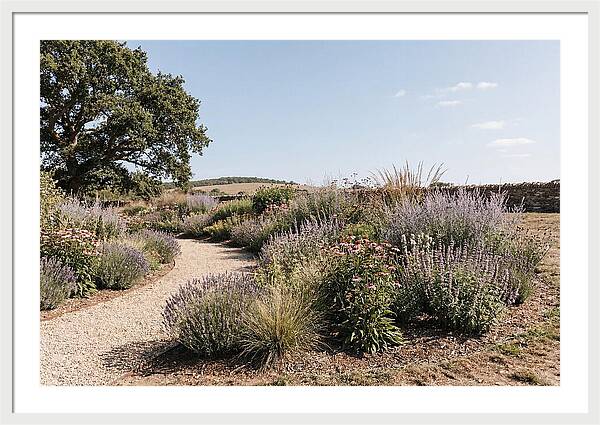 Winding Garden Path Through Mixed Border
