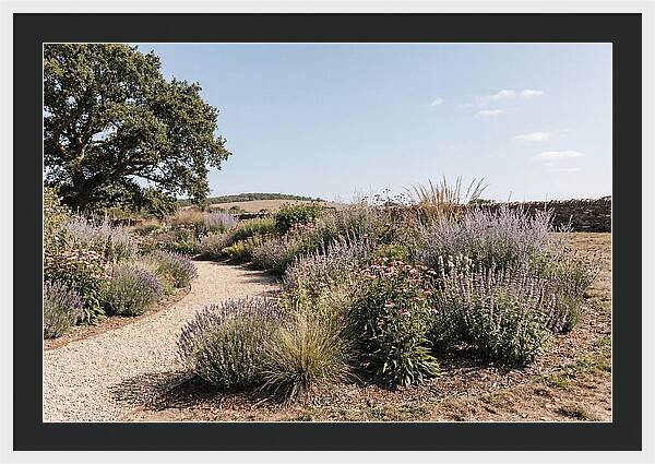Winding Garden Path Through Mixed Border