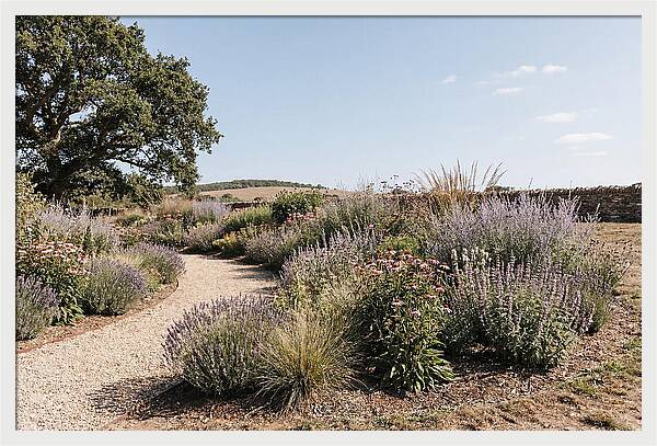 Winding Garden Path Through Mixed Border