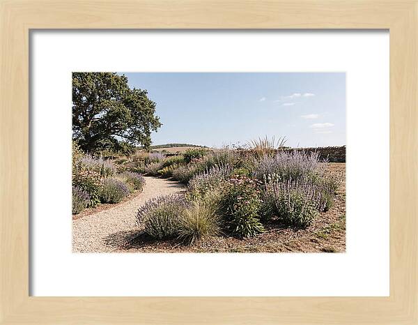 Winding Garden Path Through Mixed Border