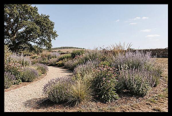 Winding Garden Path Through Mixed Border