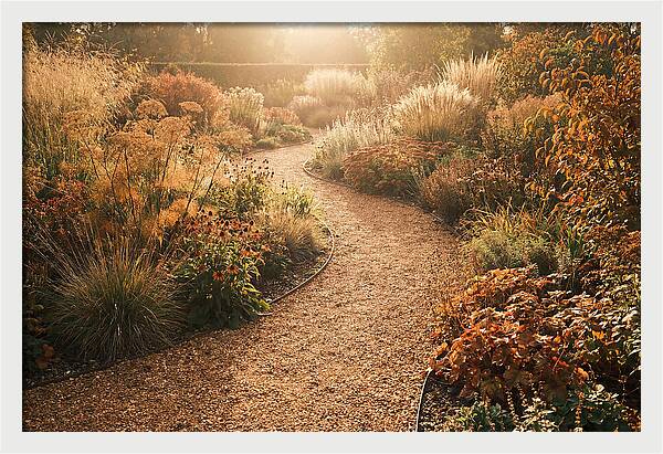 Winding Gravel Path Through Gardens