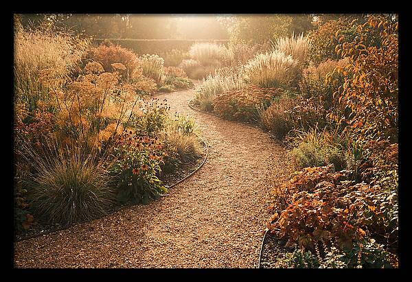 Winding Gravel Path Through Gardens