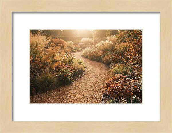 Winding Gravel Path Through Gardens