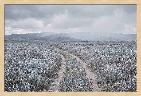 Winding Path Through Wildflowers