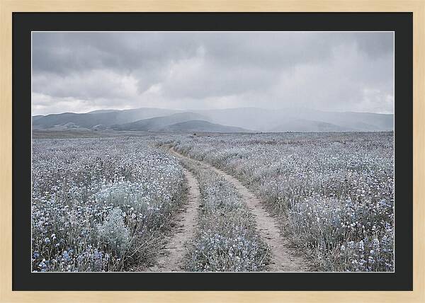 Winding Path Through Wildflowers