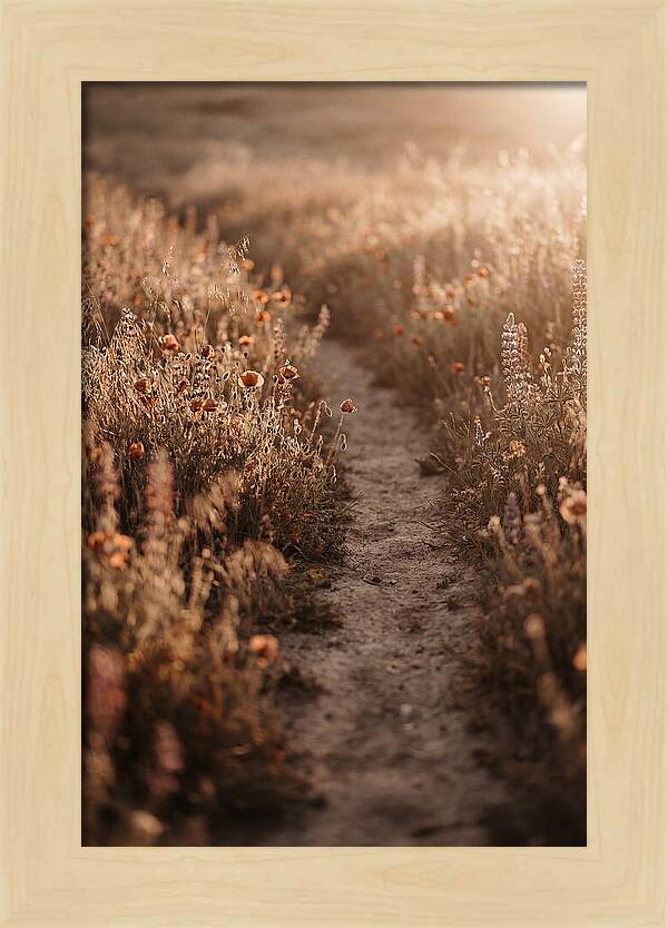 Winding Path Through Wildflowers