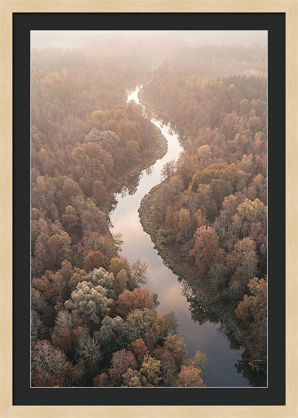 Winding River Through Autumn Forest