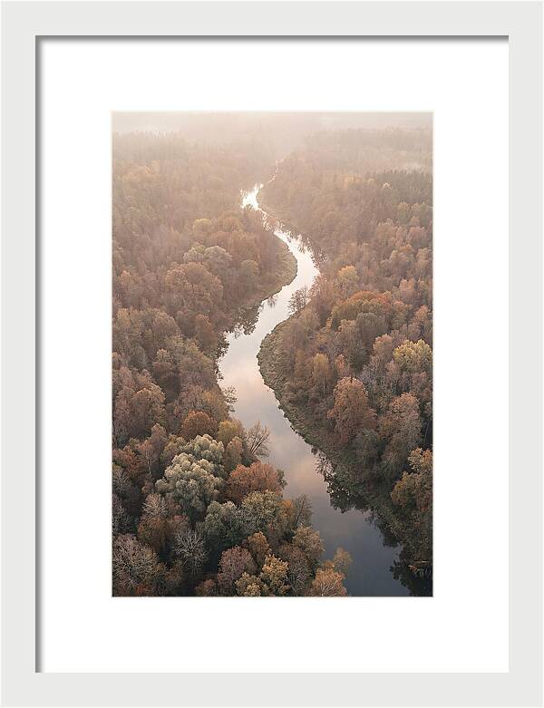 Winding River Through Autumn Forest