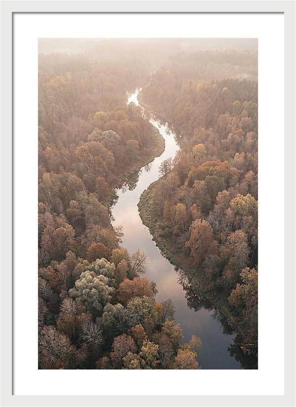Winding River Through Autumn Forest