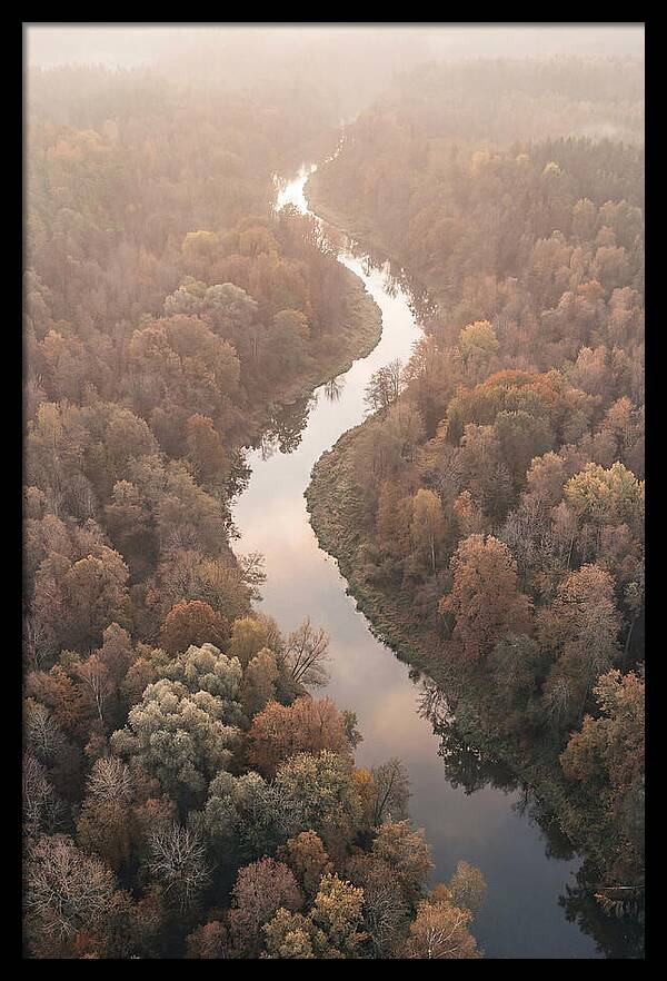 Winding River Through Autumn Forest
