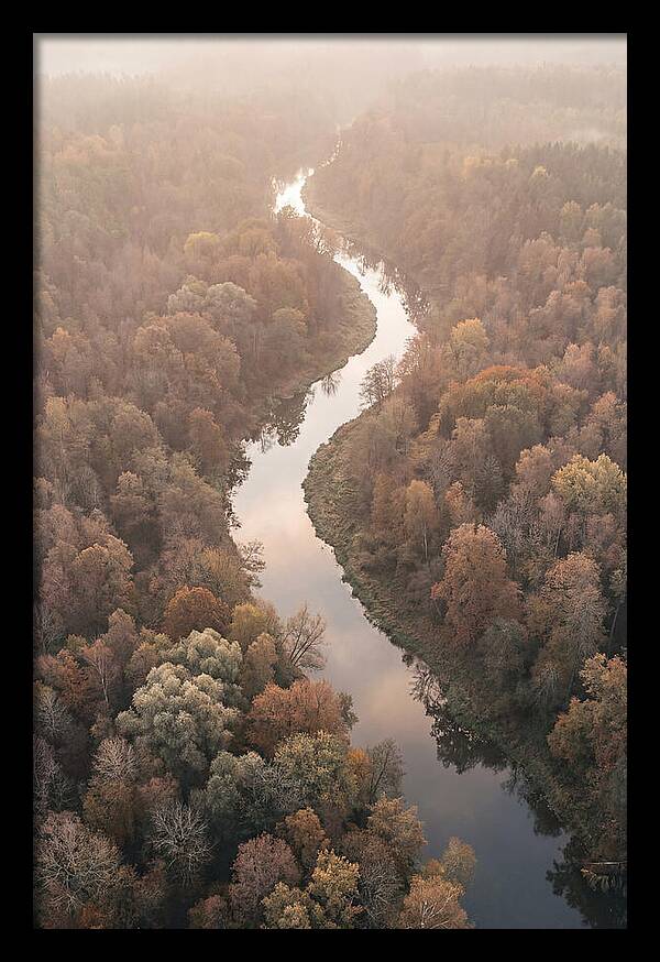 Winding River Through Autumn Forest