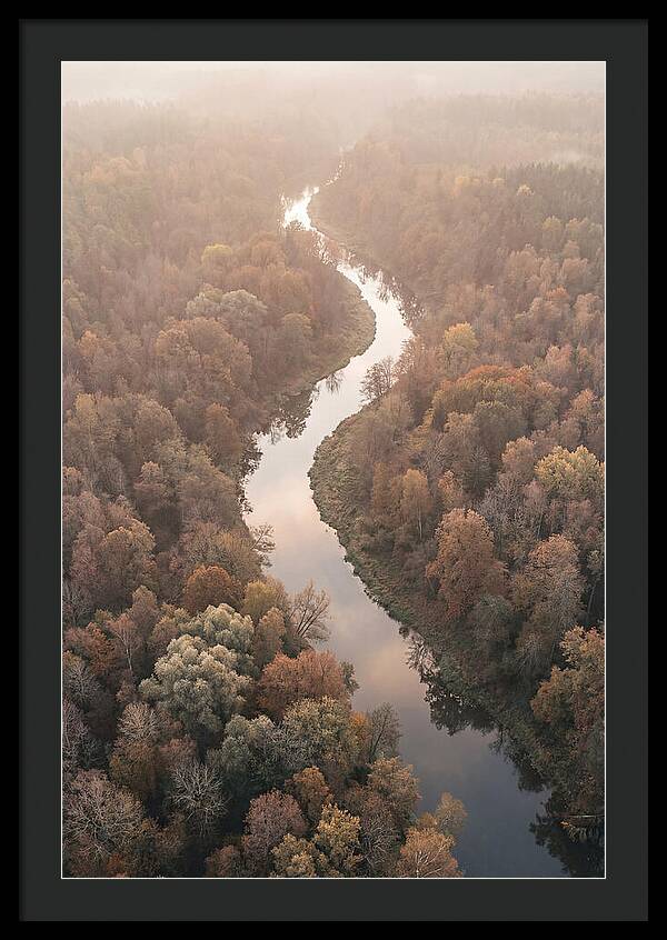 Winding River Through Autumn Forest