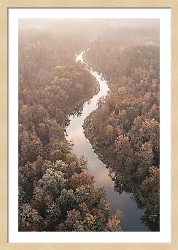 Winding River Through Autumn Forest