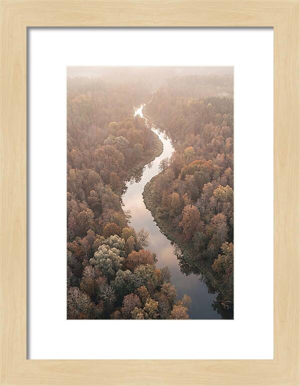 Winding River Through Autumn Forest