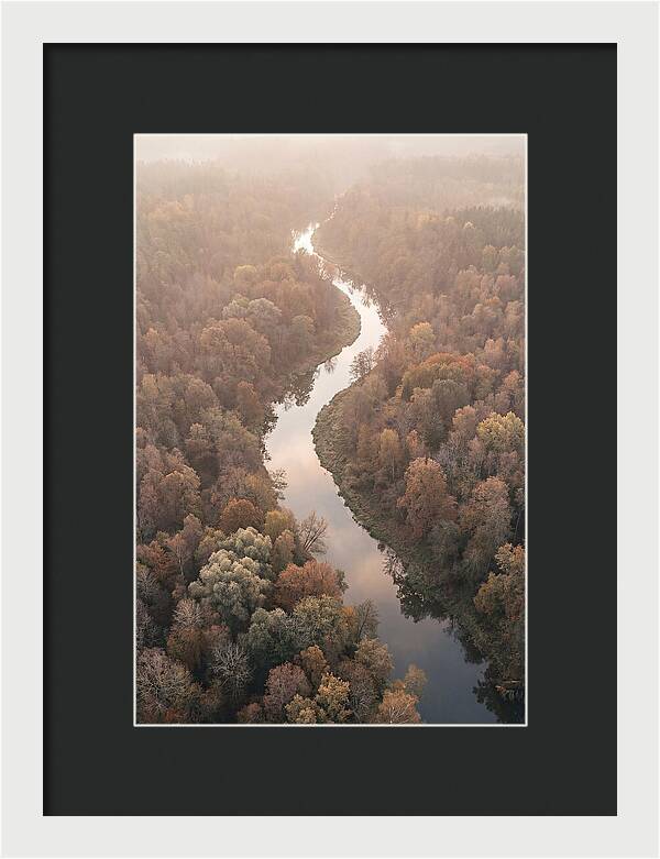 Winding River Through Autumn Forest