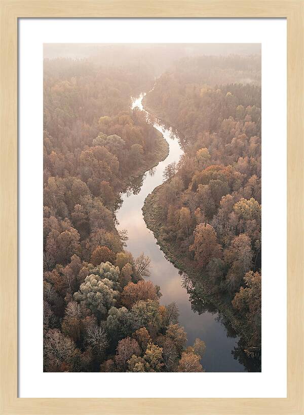 Winding River Through Autumn Forest
