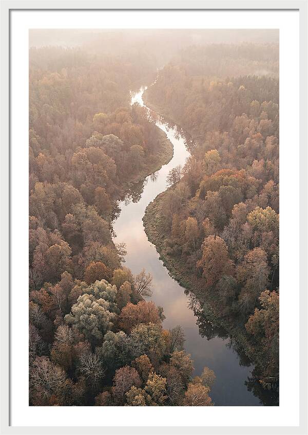 Winding River Through Autumn Forest