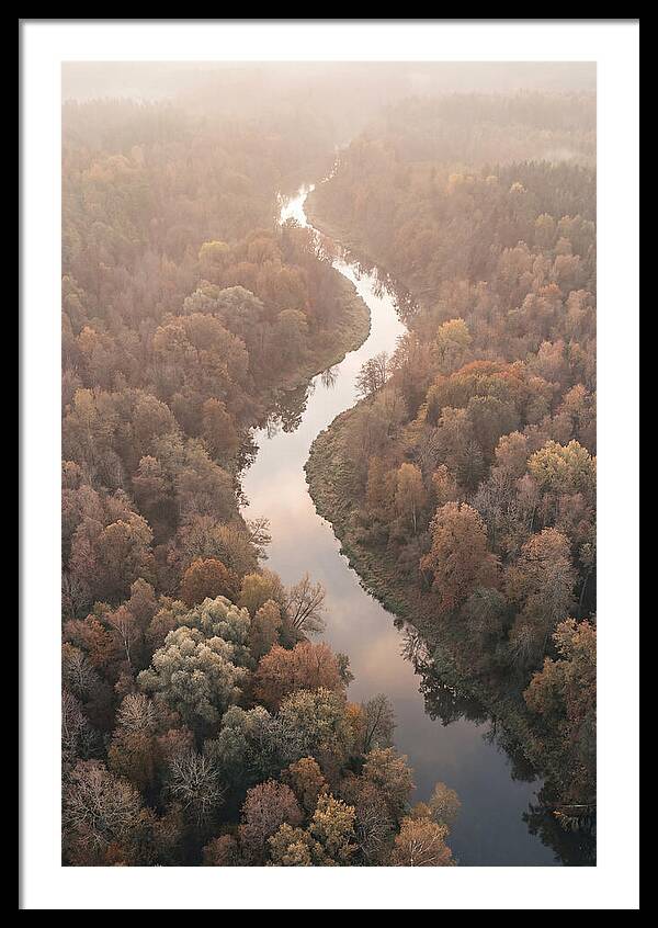 Winding River Through Autumn Forest