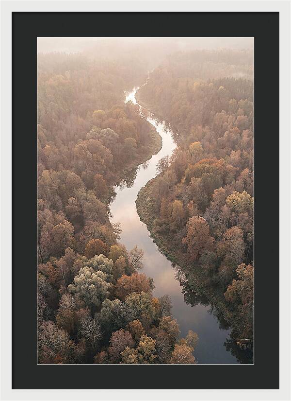 Winding River Through Autumn Forest