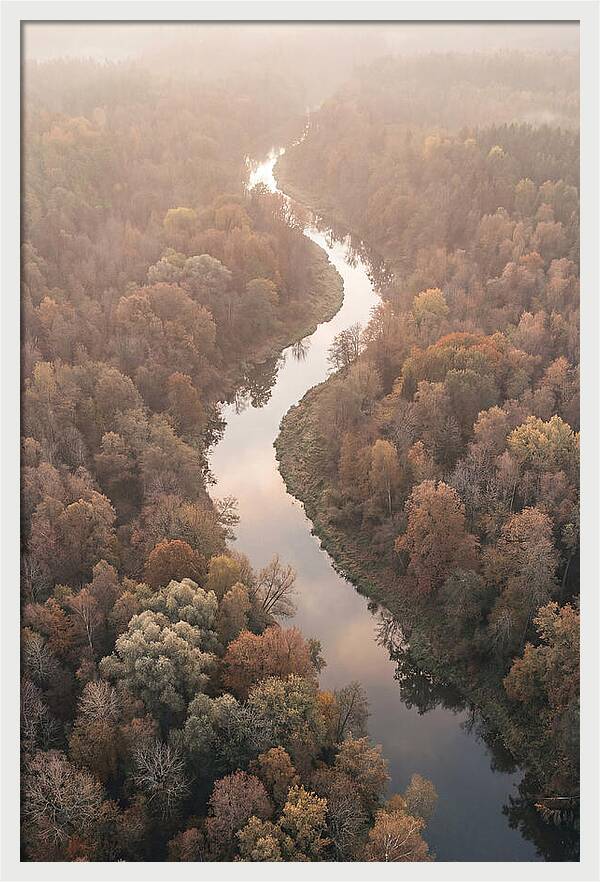 Winding River Through Autumn Forest