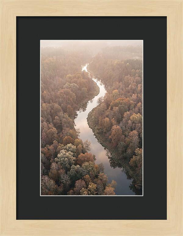 Winding River Through Autumn Forest