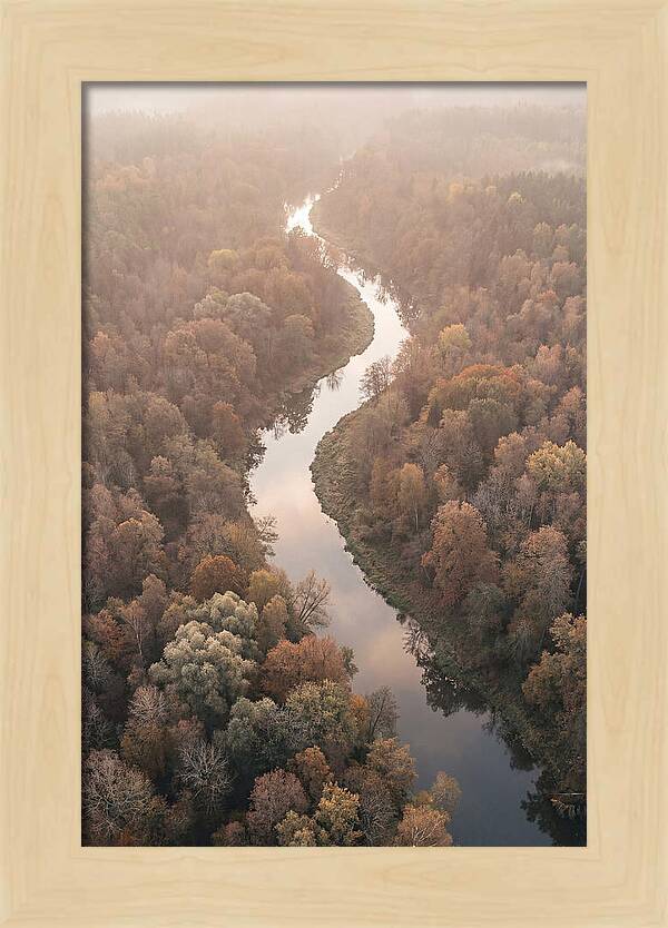 Winding River Through Autumn Forest