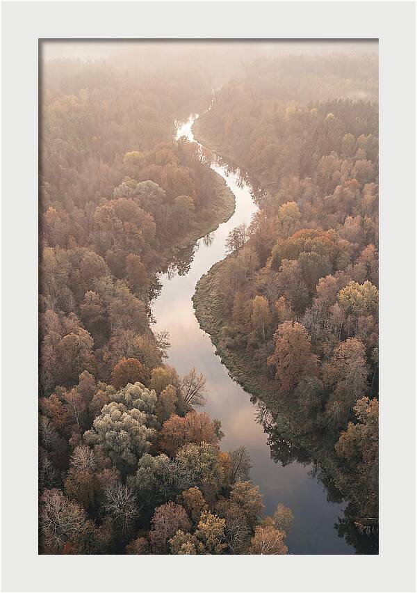 Winding River Through Autumn Forest