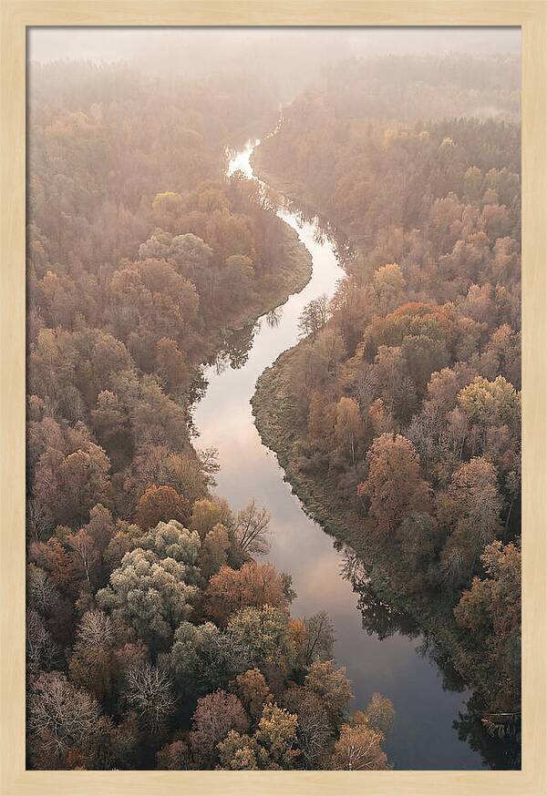 Winding River Through Autumn Forest