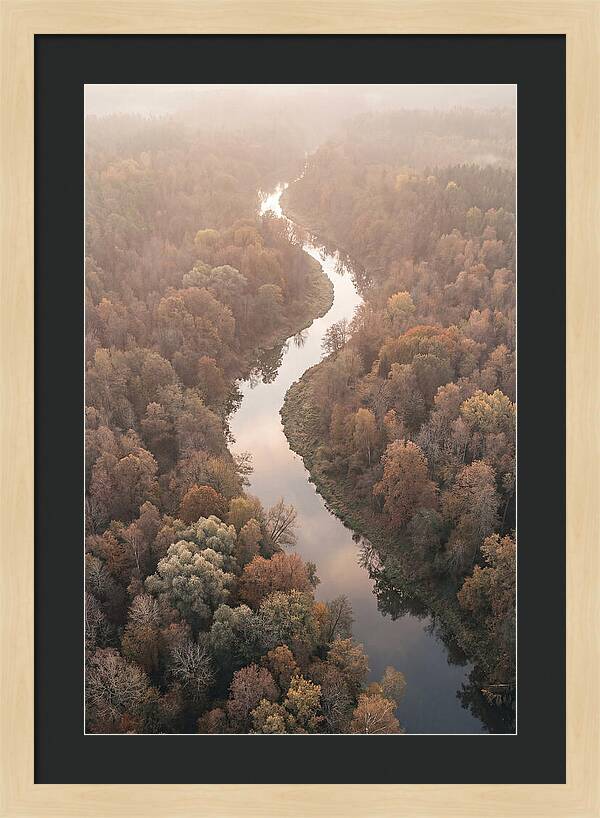 Winding River Through Autumn Forest