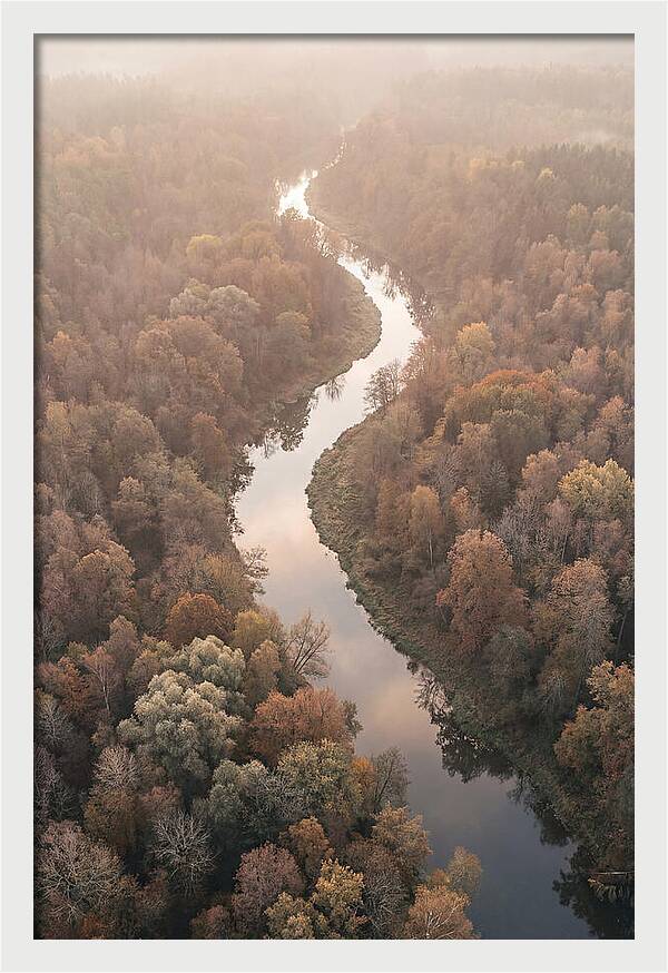 Winding River Through Autumn Forest