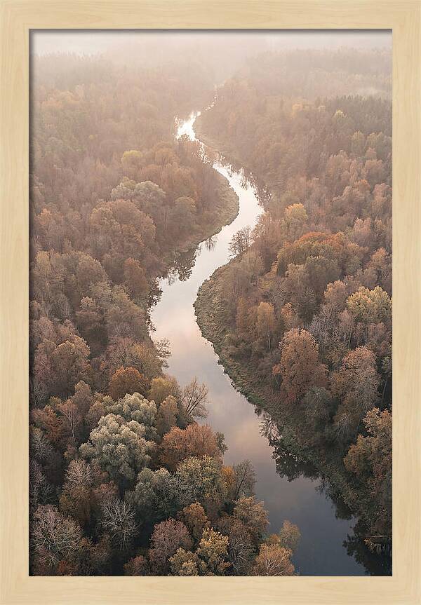 Winding River Through Autumn Forest