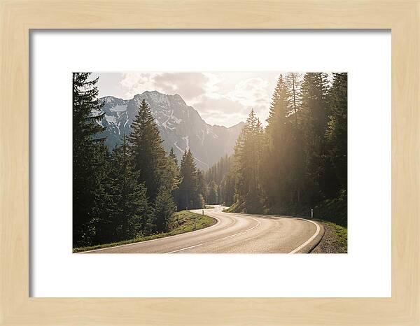 Winding Road Through Alpine Landscape