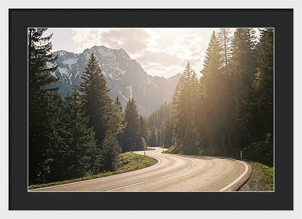 Winding Road Through Alpine Landscape