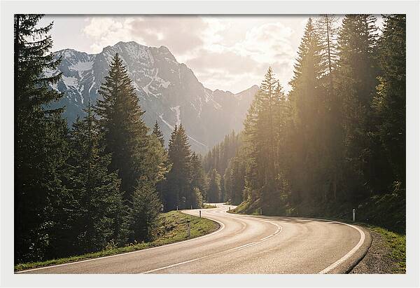 Winding Road Through Alpine Landscape