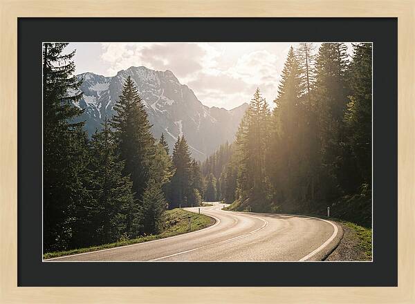 Winding Road Through Alpine Landscape