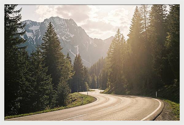 Winding Road Through Alpine Landscape