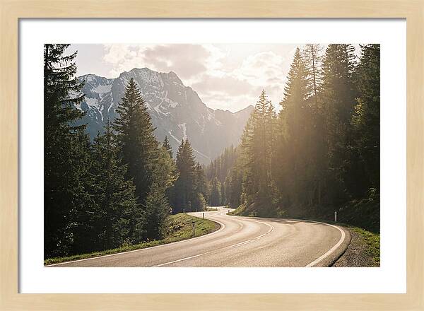Winding Road Through Alpine Landscape