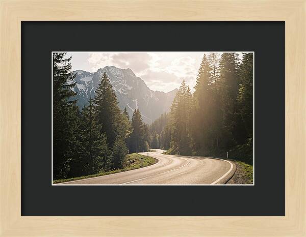 Winding Road Through Alpine Landscape