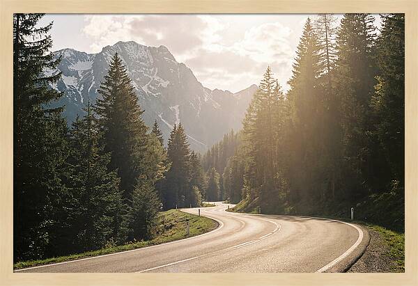 Winding Road Through Alpine Landscape