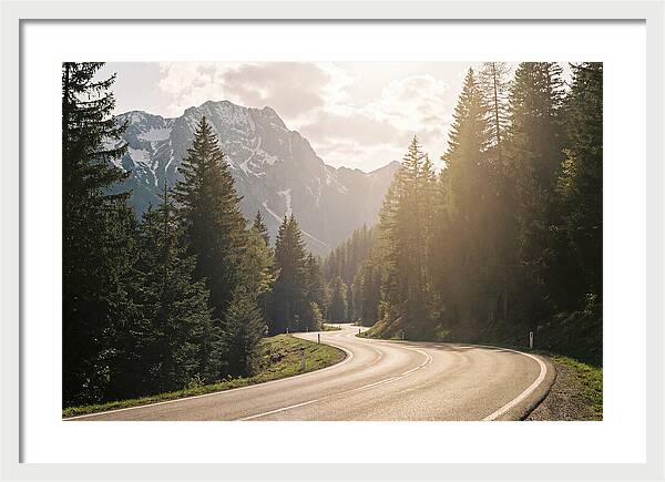 Winding Road Through Alpine Landscape