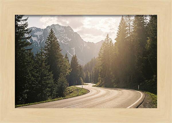 Winding Road Through Alpine Landscape