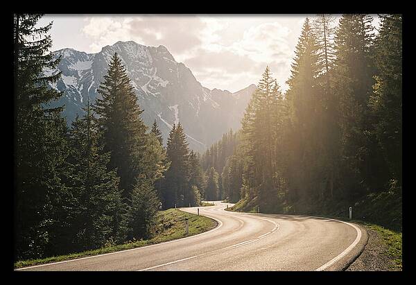 Winding Road Through Alpine Landscape